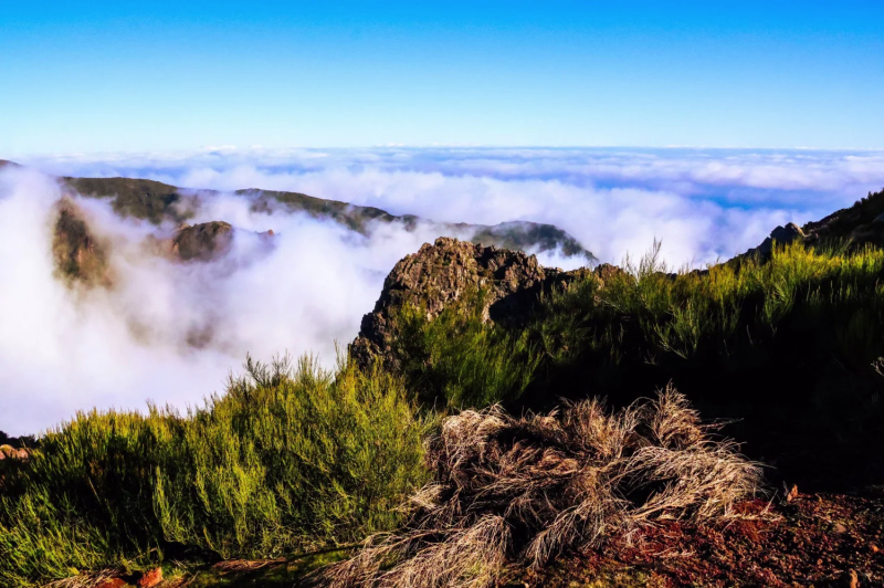 The beautiful island of Madeira