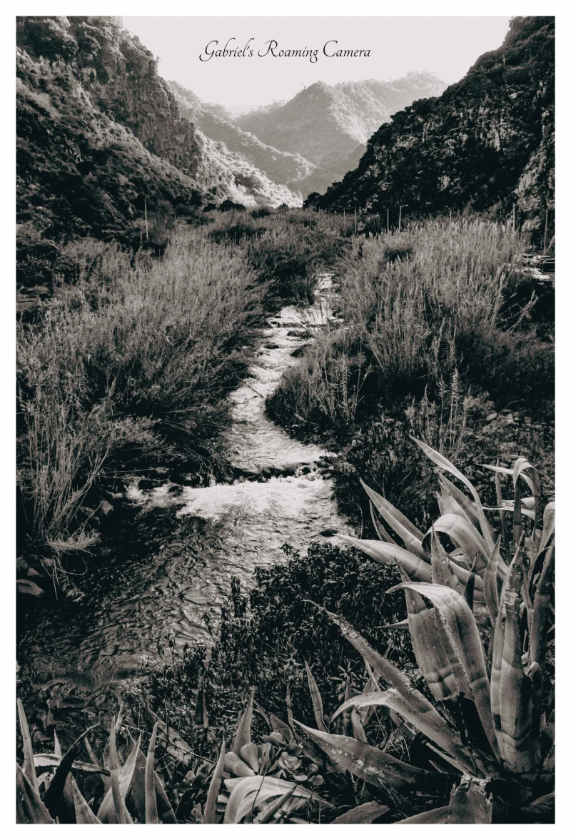 The beautiful island of Madeira