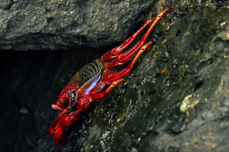 The beautiful island of Madeira