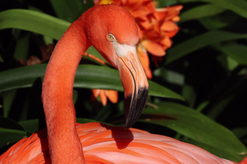 The beautiful island of Madeira