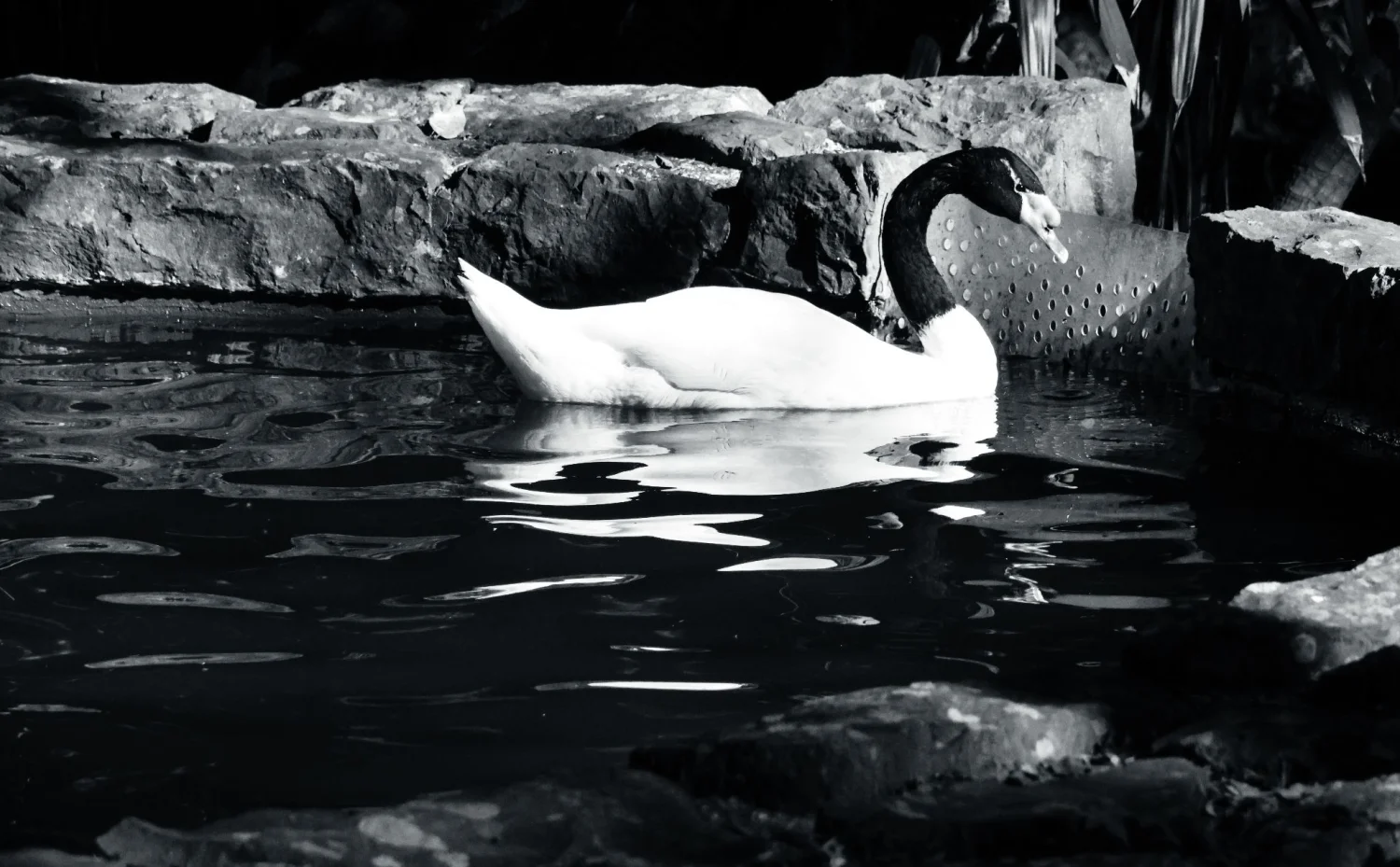 The beautiful island of Madeira