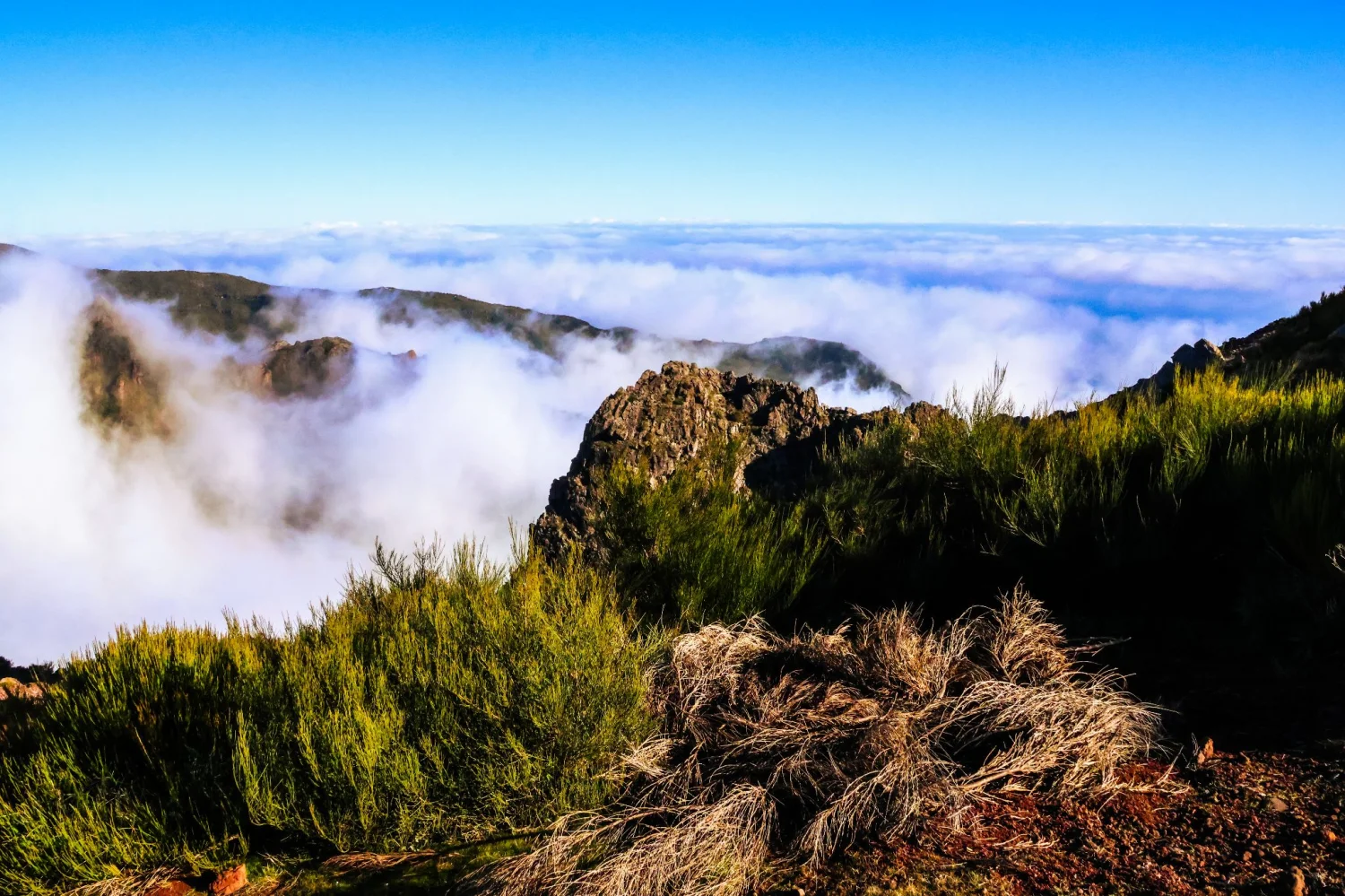 The beautiful island of Madeira