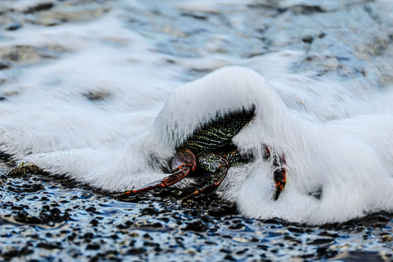 The beautiful island of Madeira