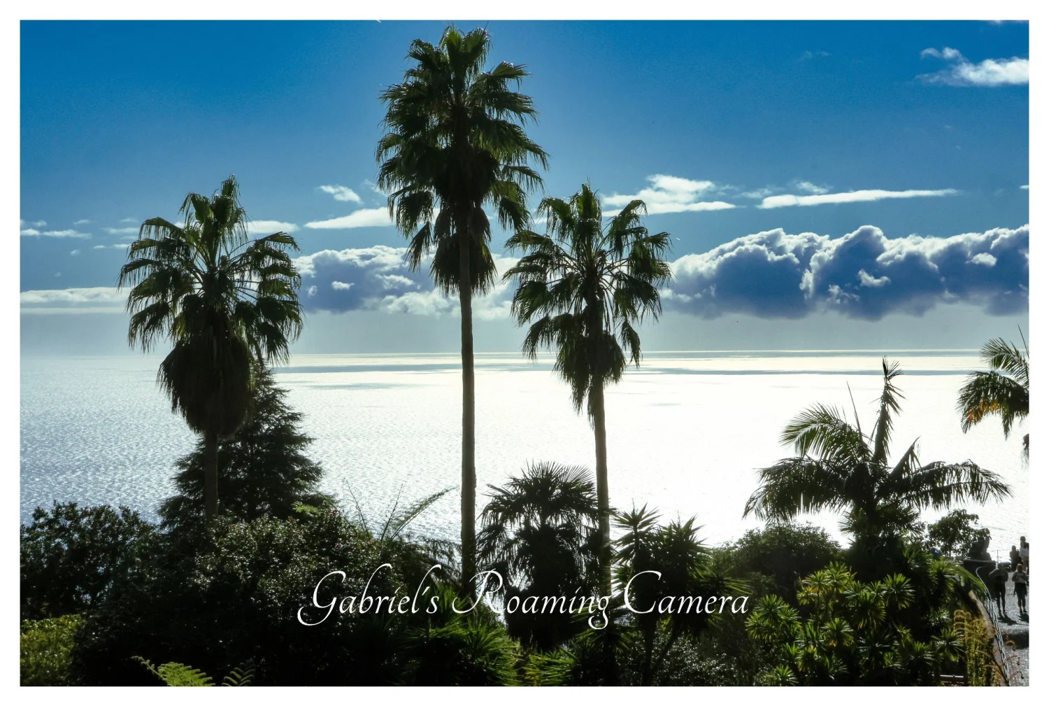 The beautiful island of Madeira Photo Library.