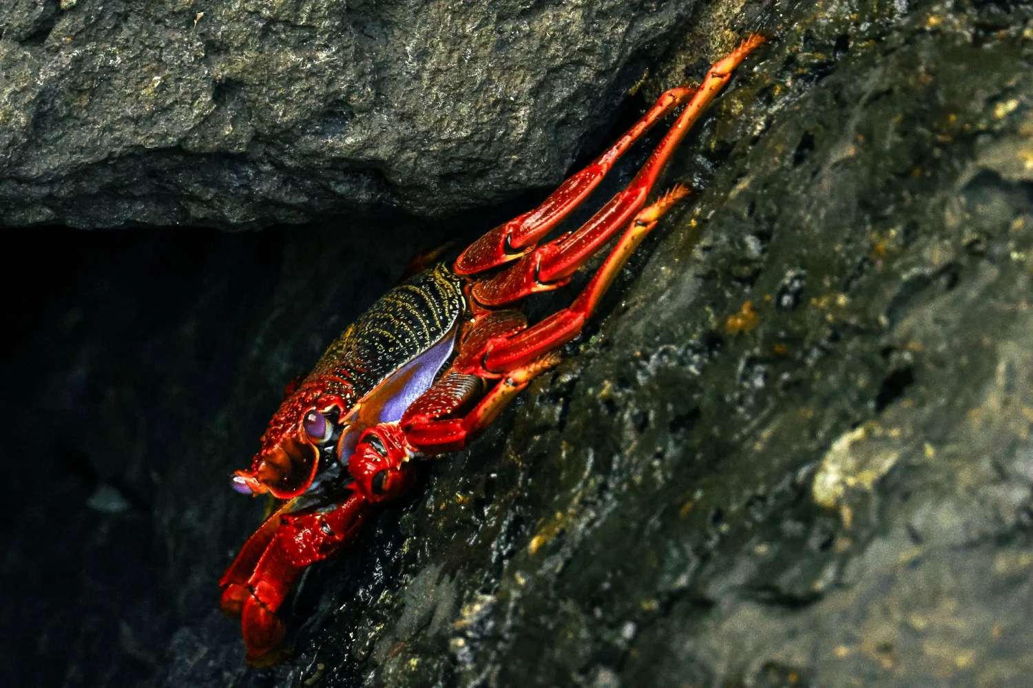 The beautiful island of Madeira