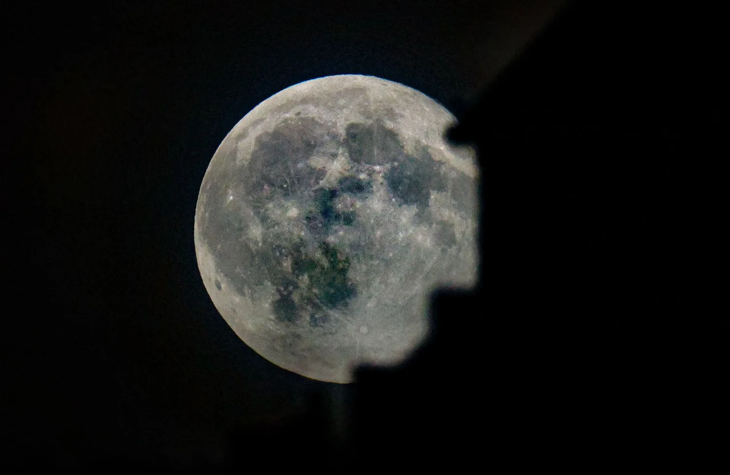 The Moon