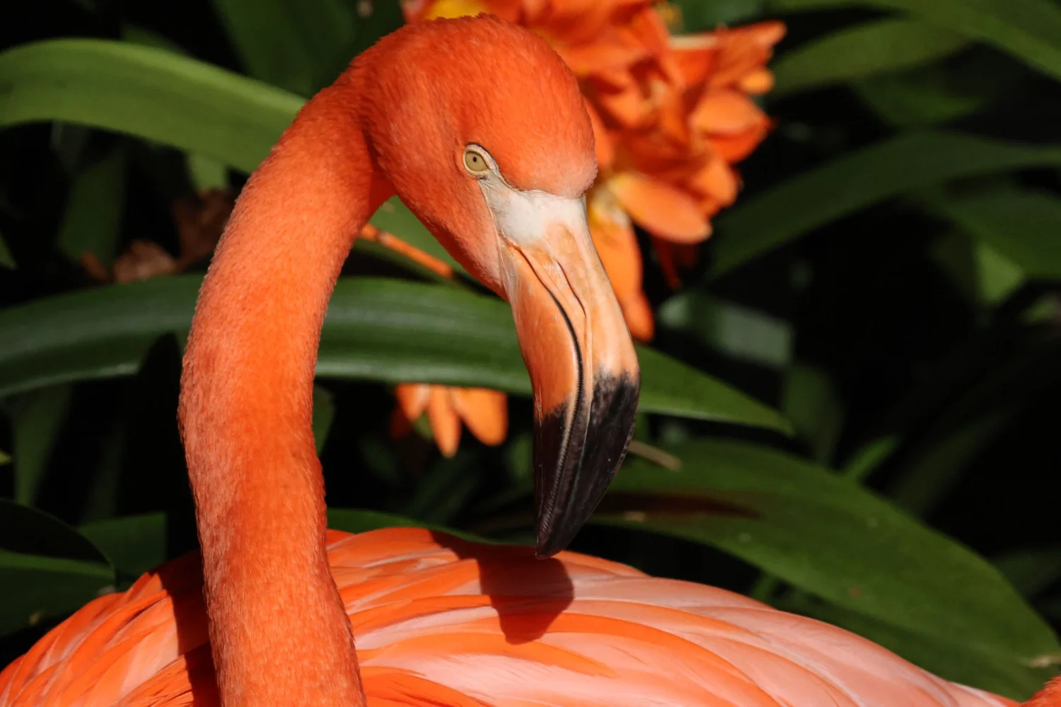 The beautiful island of Madeira