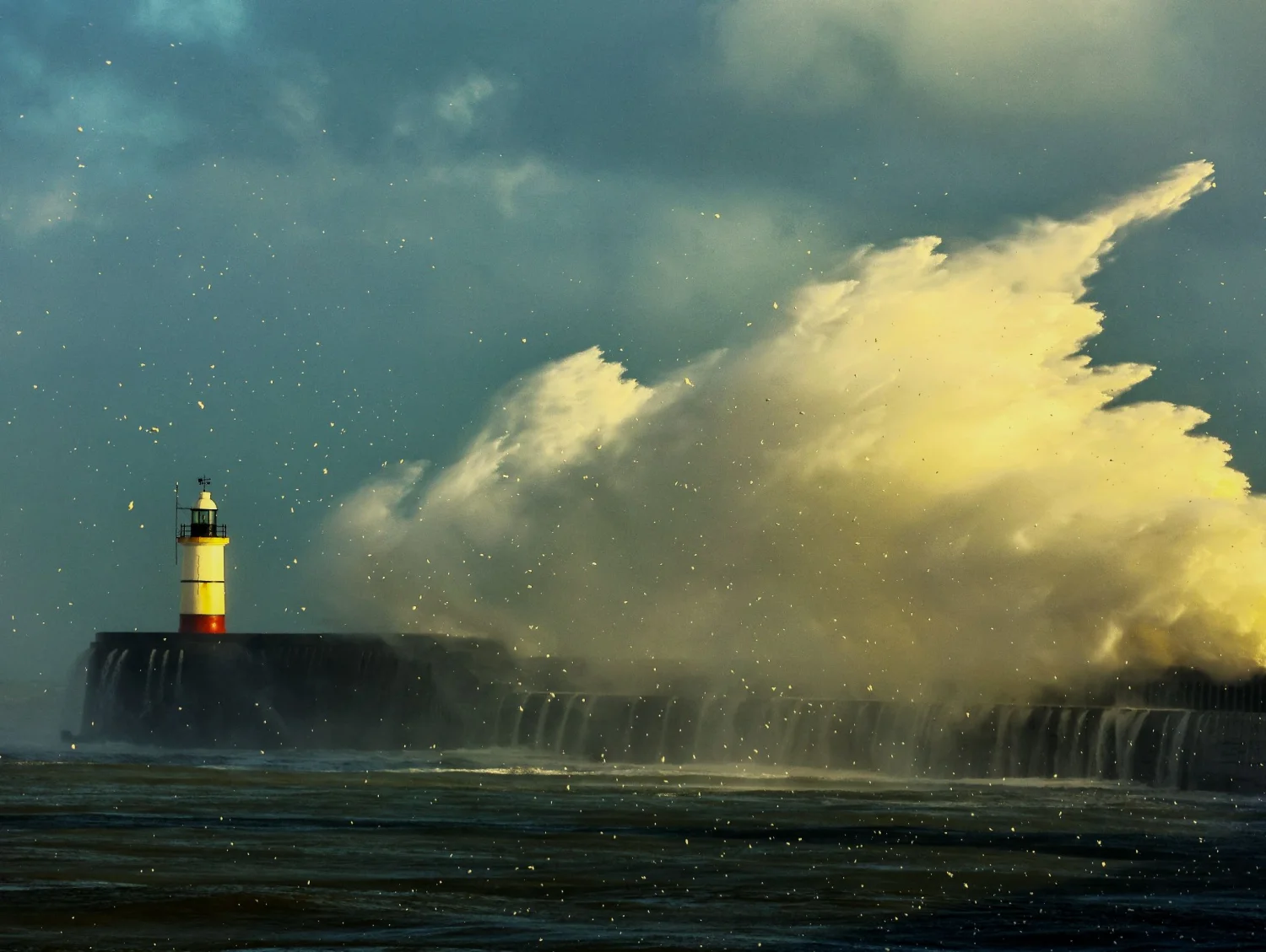 Seascapes