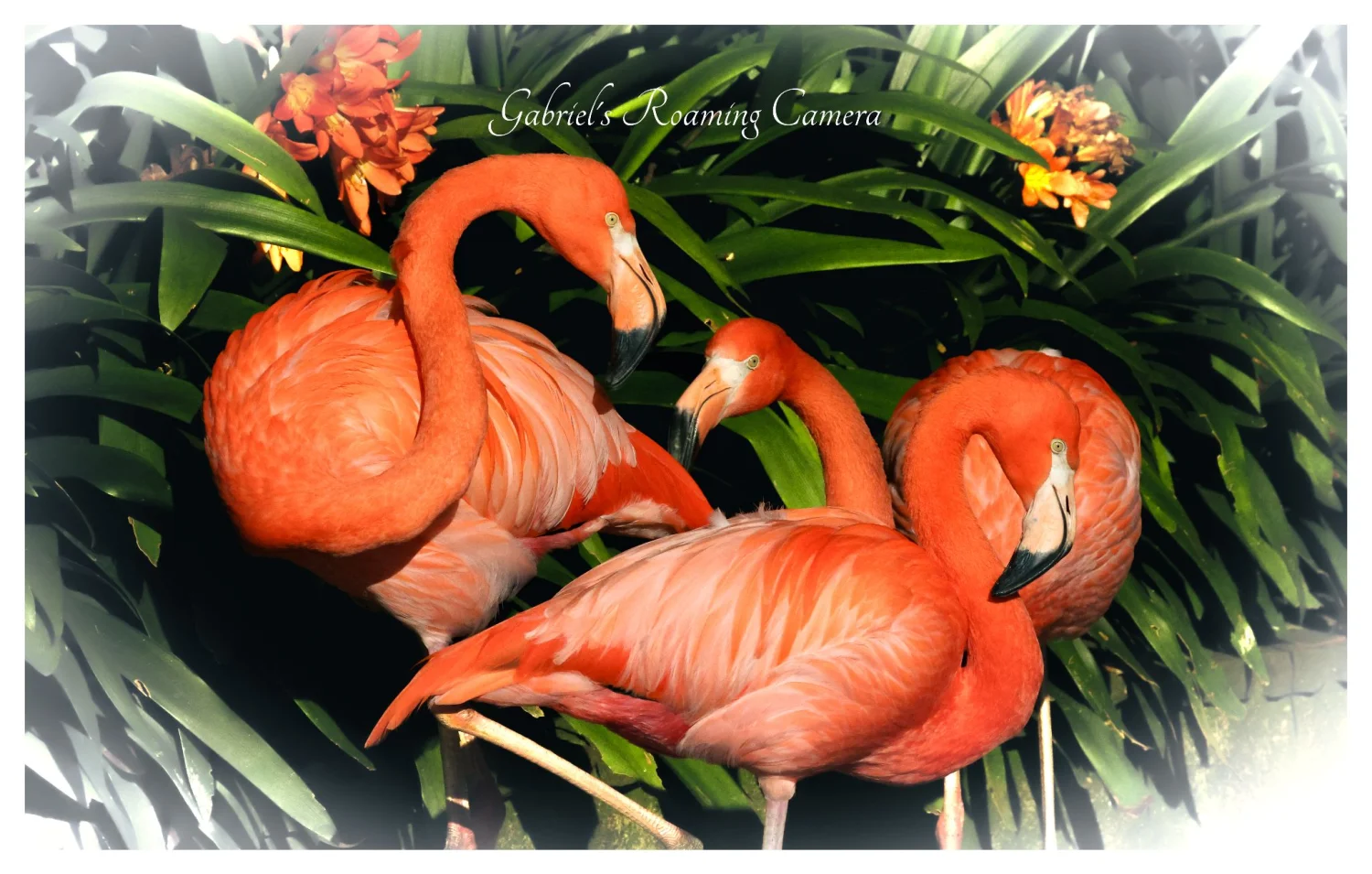 The beautiful island of Madeira