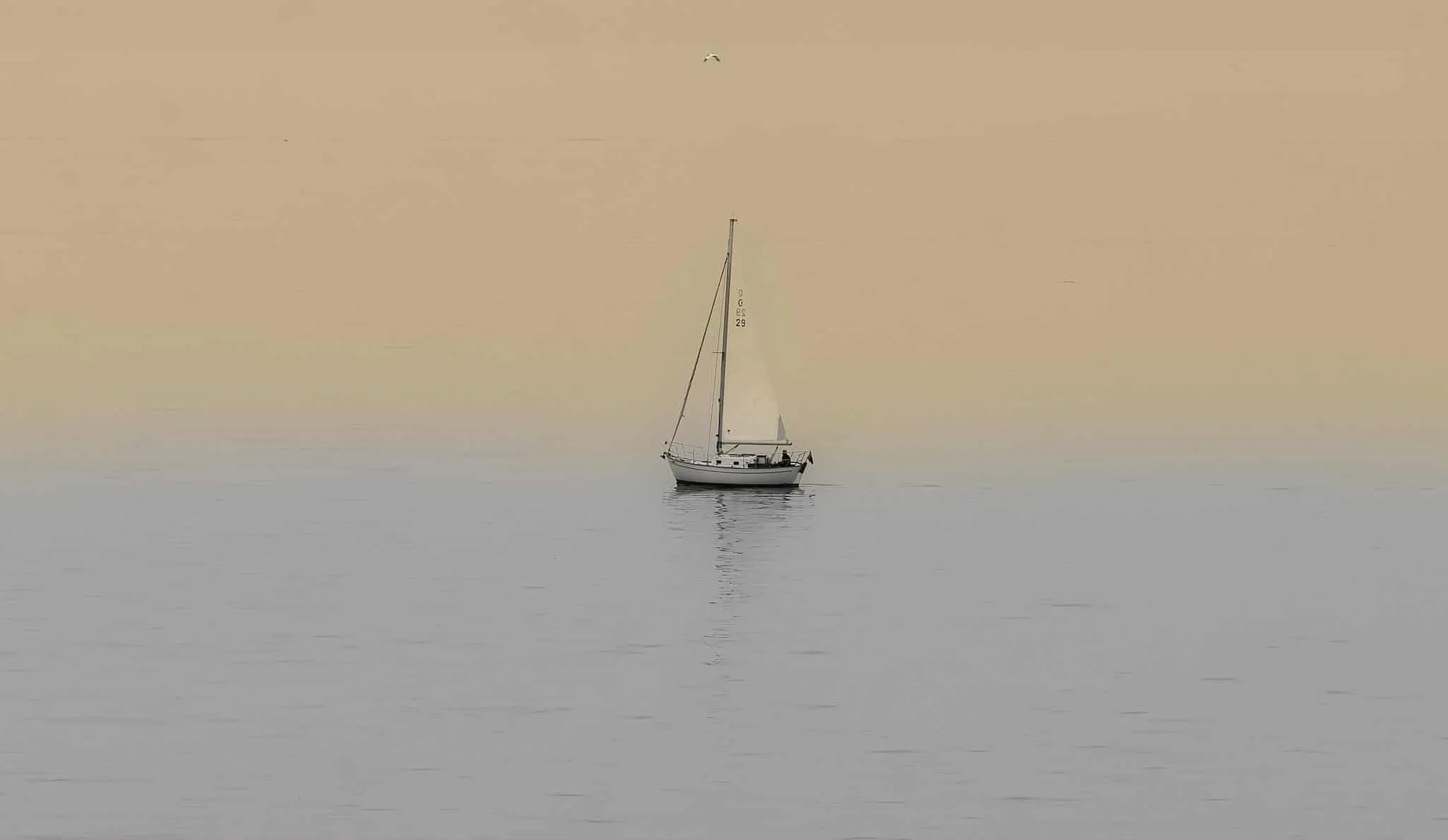 Seascapes Photo Library.