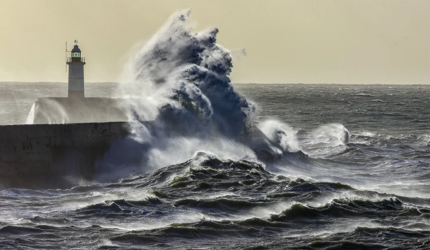Seascapes
